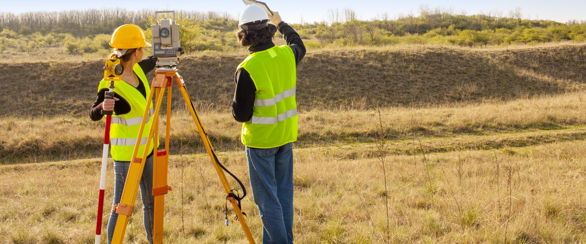 Surveying Companies: Everything You Need to Know